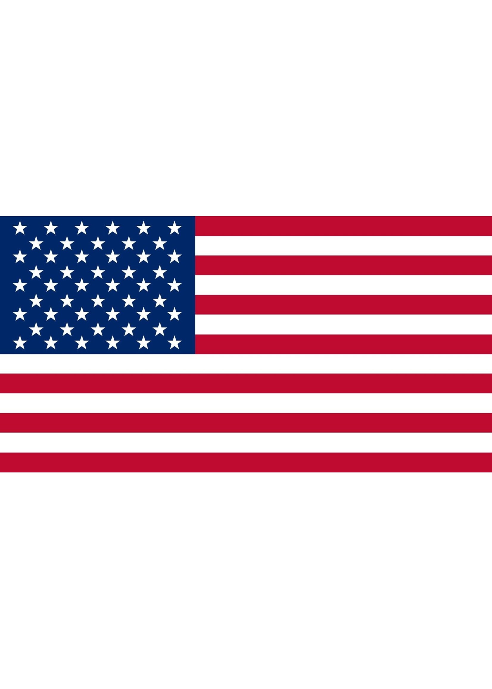 United States Flag 3x5