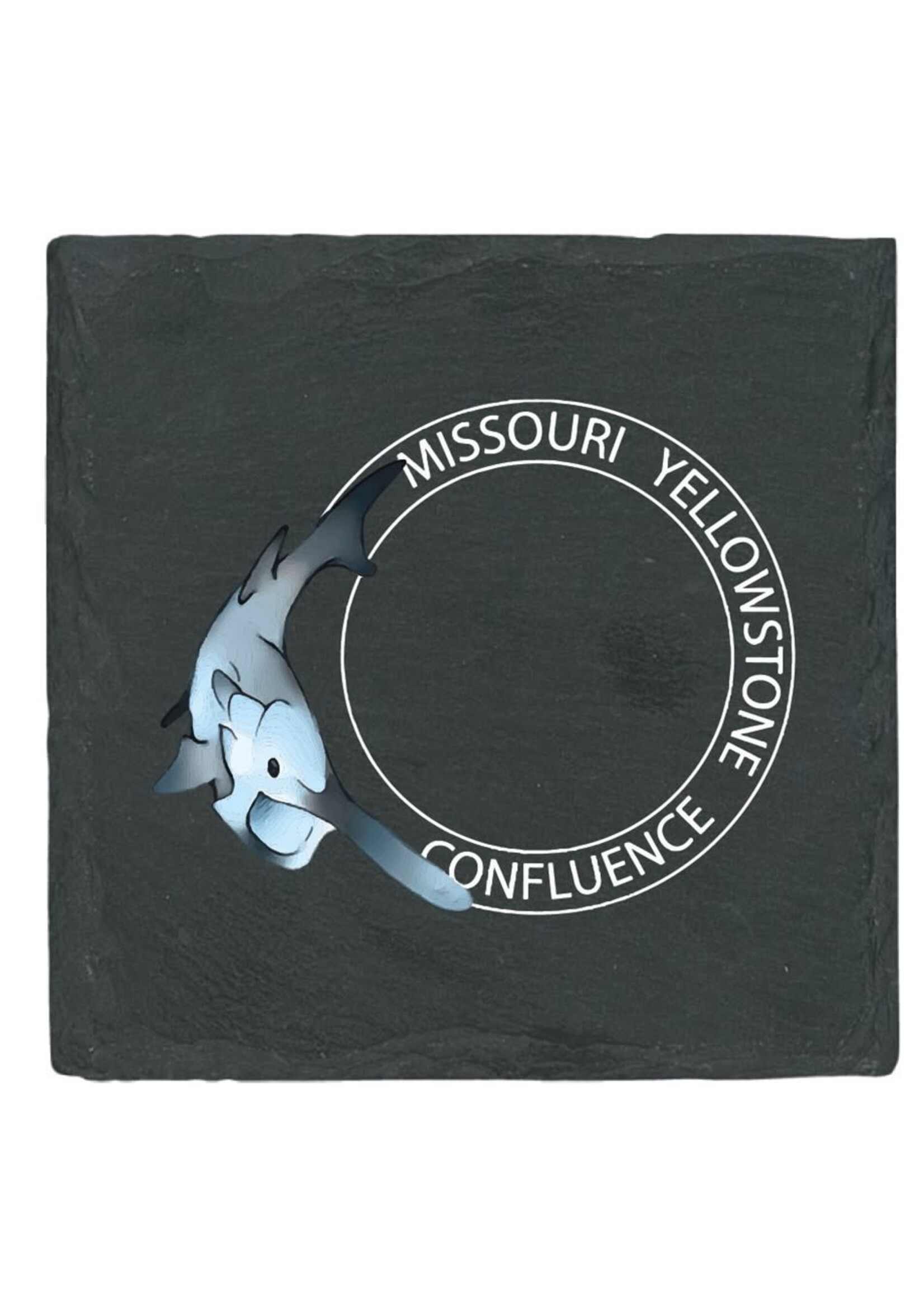 4-Pack Slate Coasters: