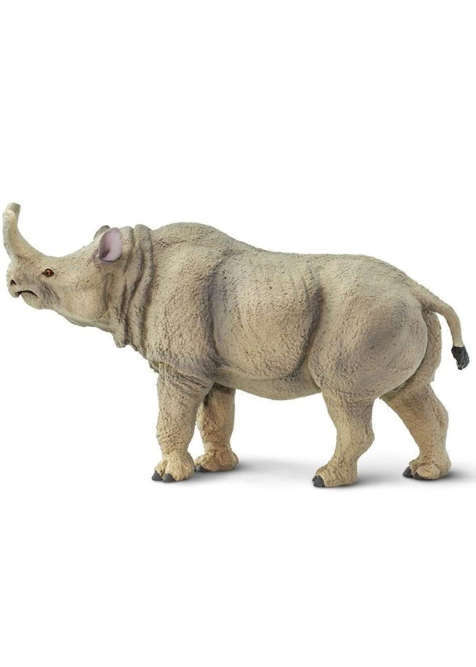Megacerops Toy