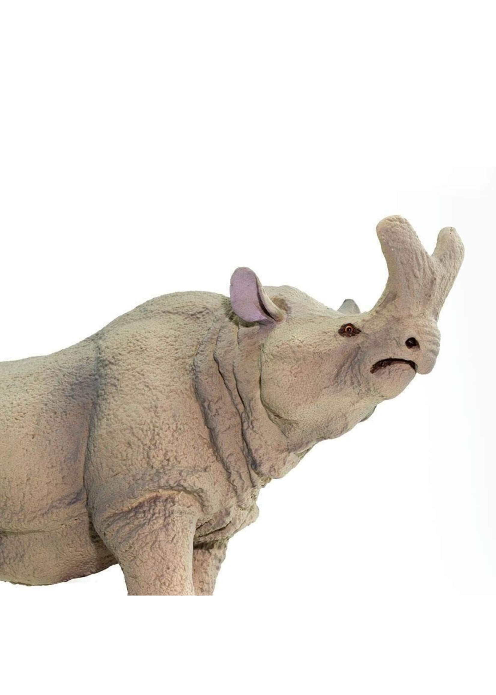 Megacerops Toy