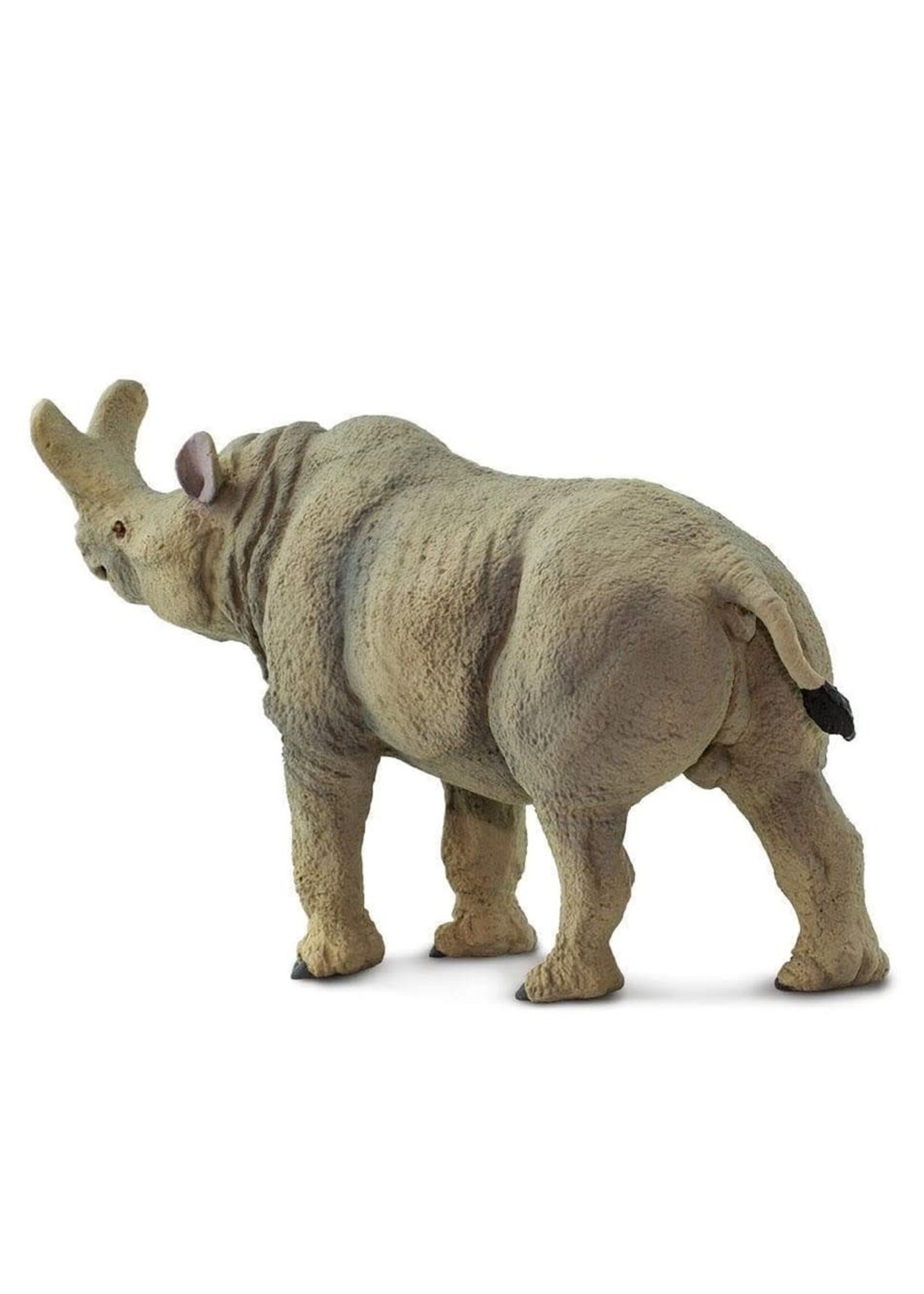 Megacerops Toy