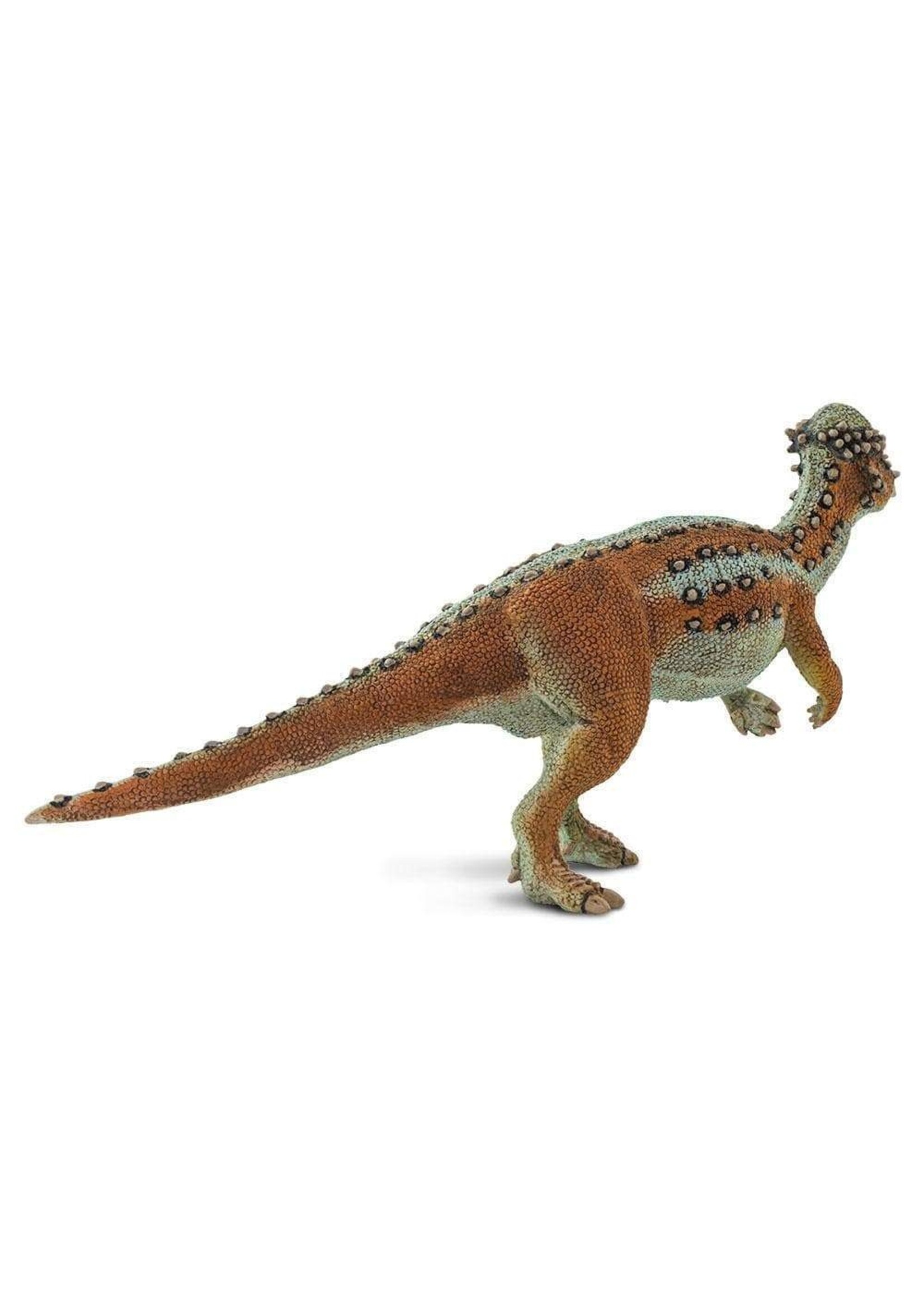 Pachycephalosaurus Toy
