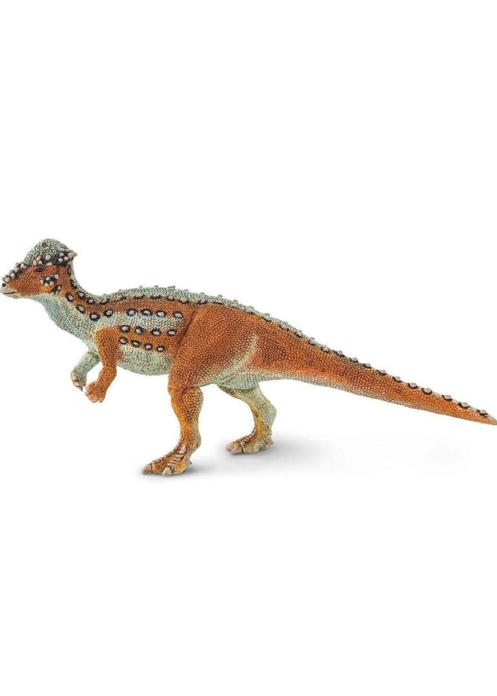 Pachycephalosaurus Toy