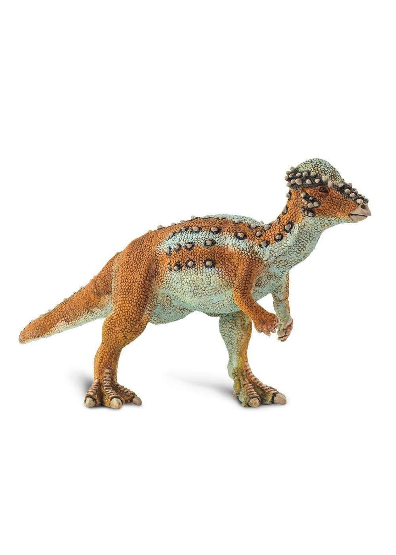 Pachycephalosaurus Toy