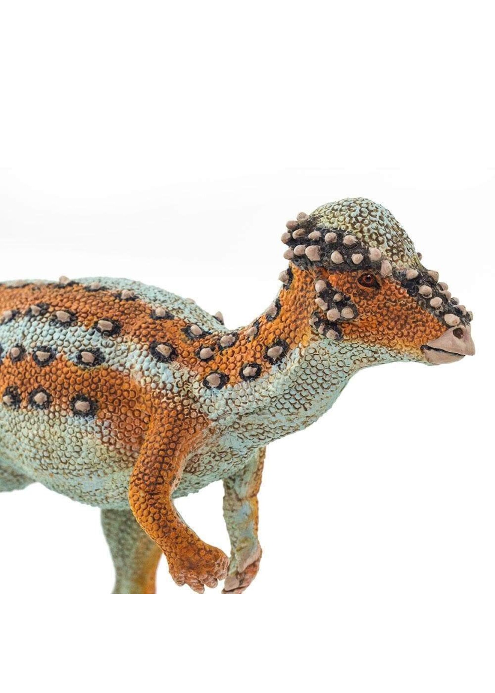 Pachycephalosaurus Toy