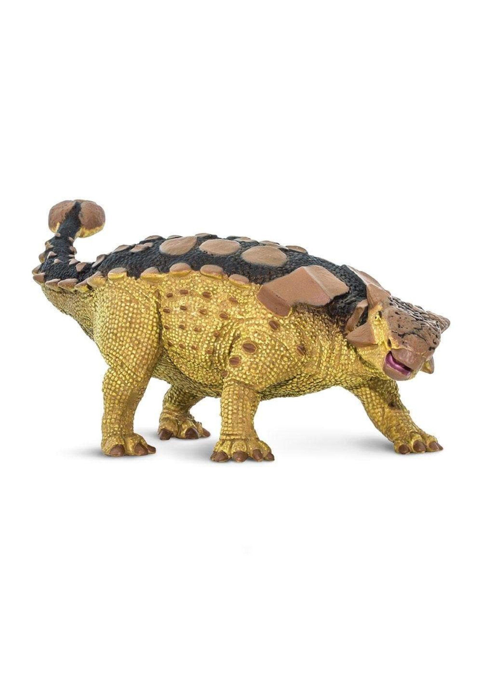 Ankylosaurus Toy