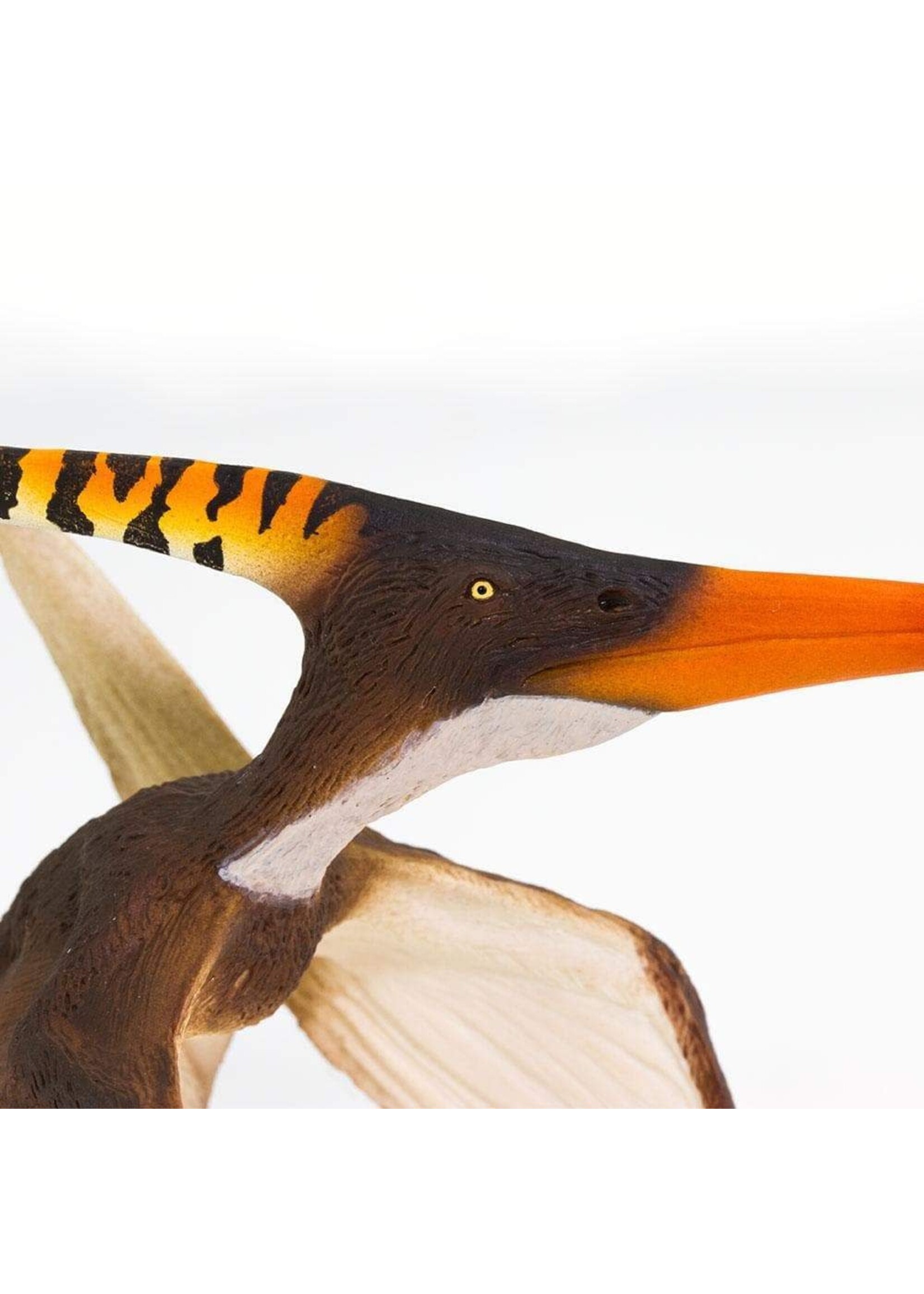 Pteranodon Toy