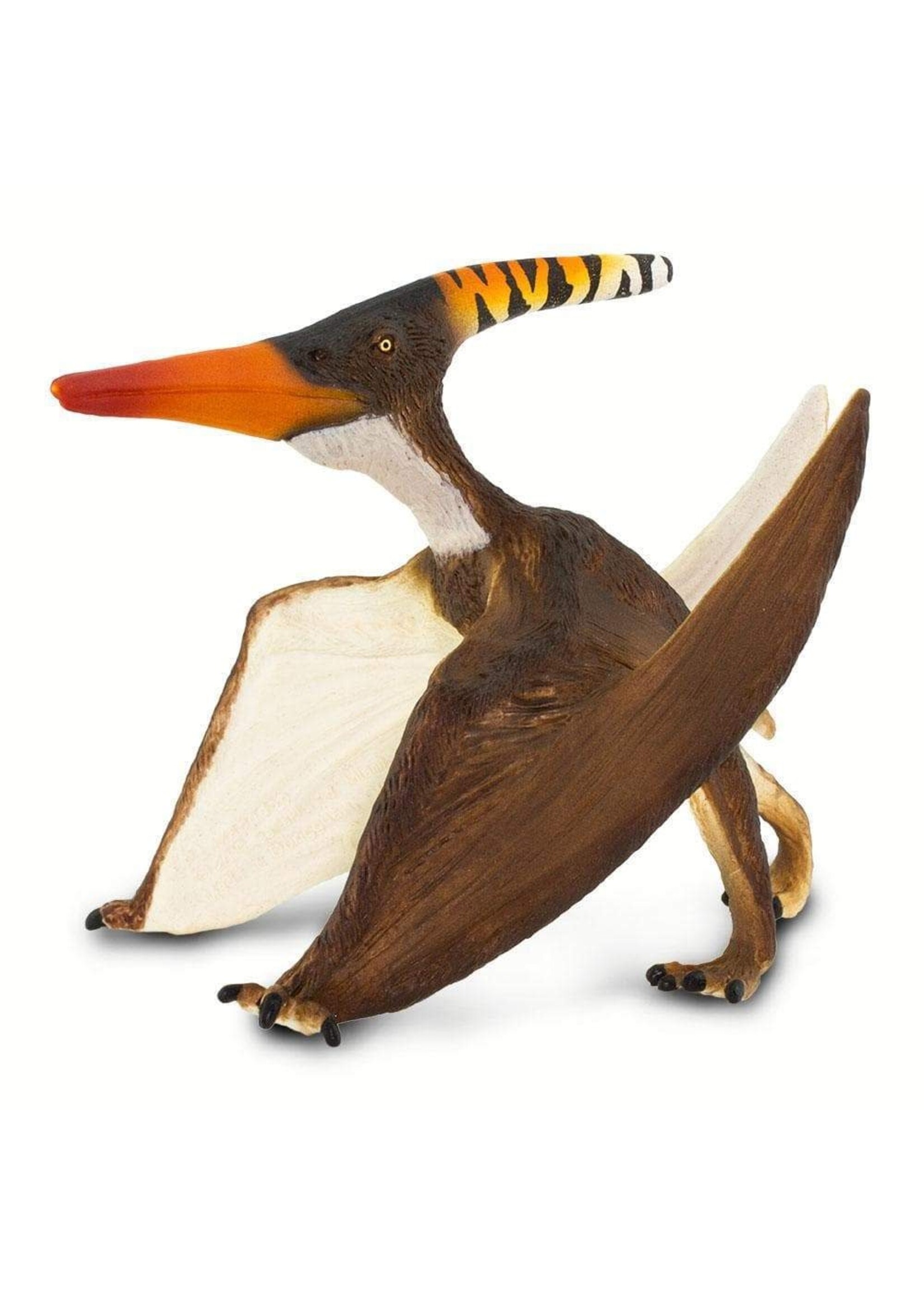 Pteranodon Toy