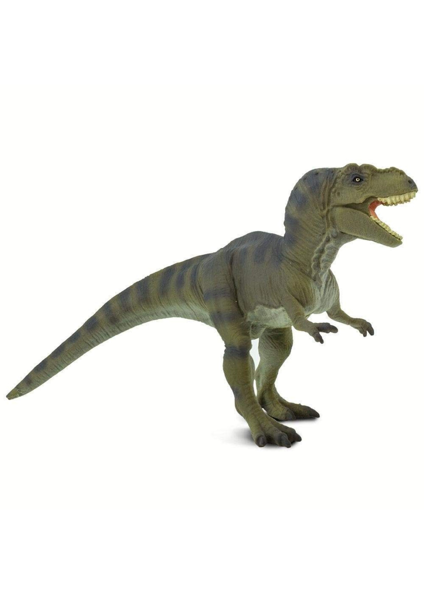 Tyrannosaurus Rex Toy