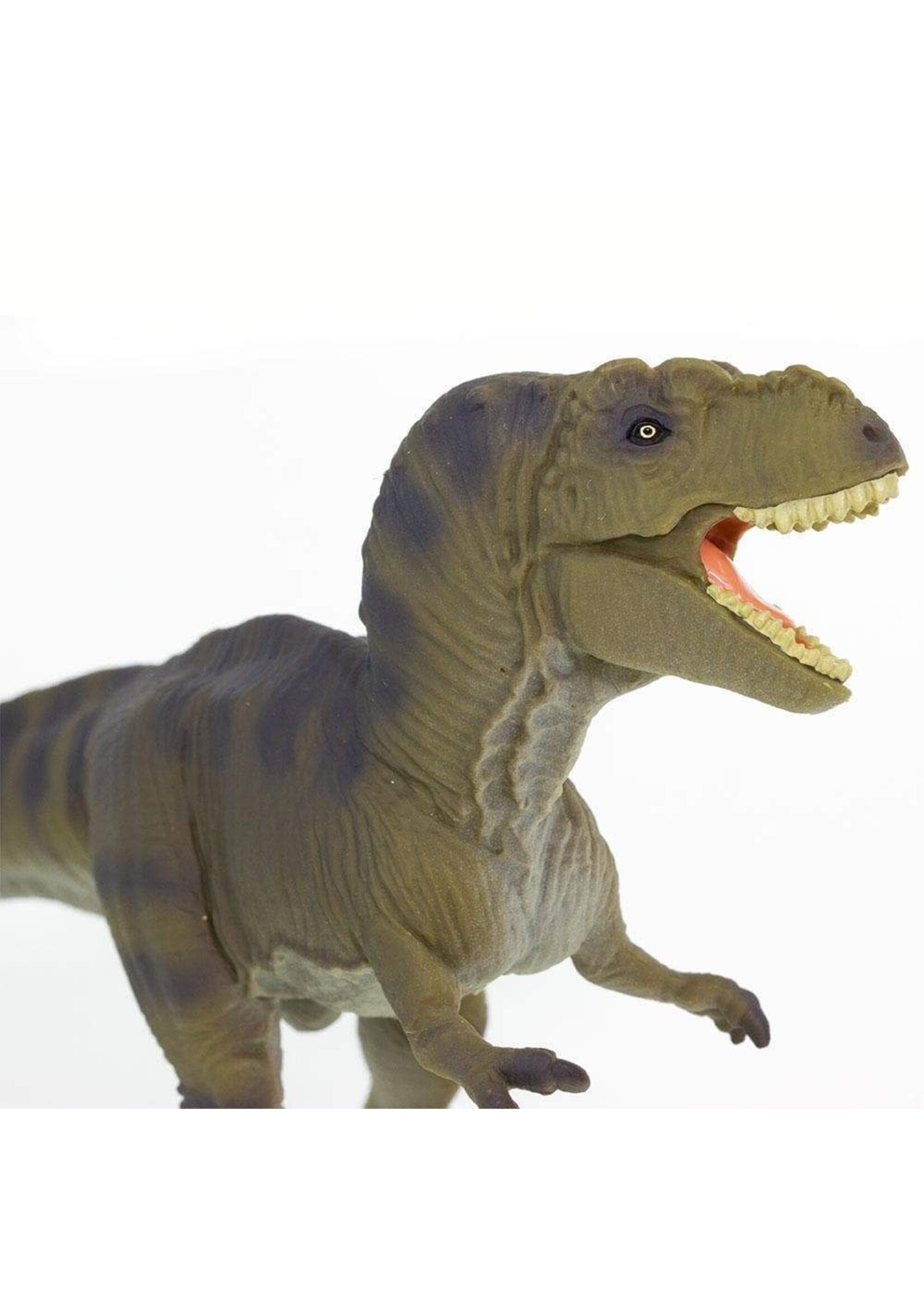 Tyrannosaurus Rex Toy