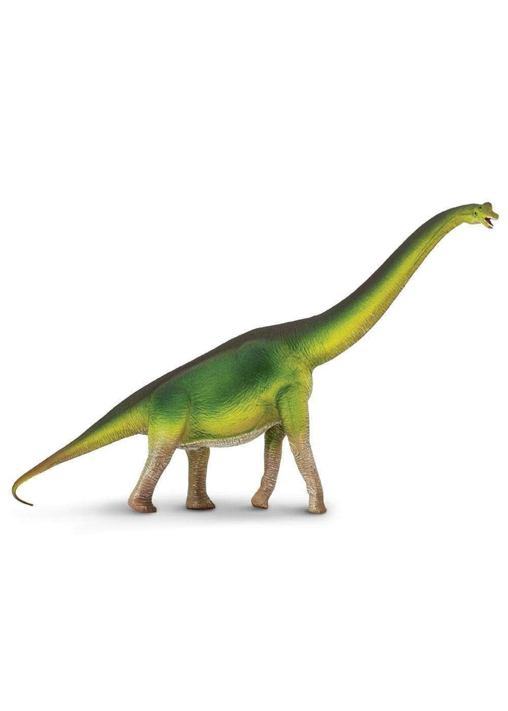 Brachiosaurus Figure Toy