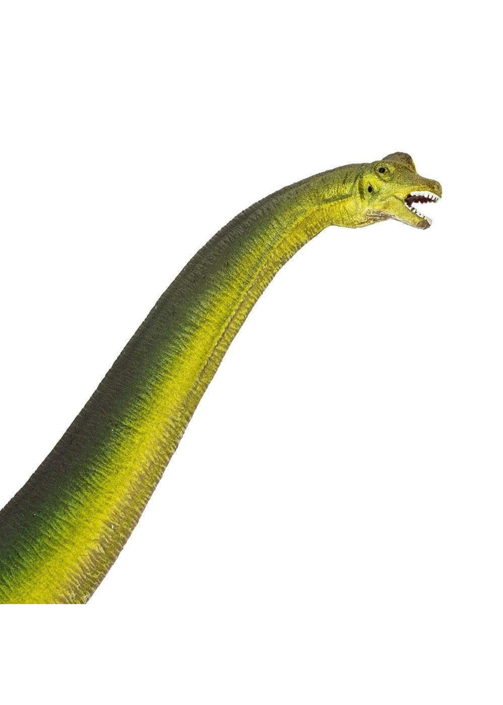 Brachiosaurus Toy