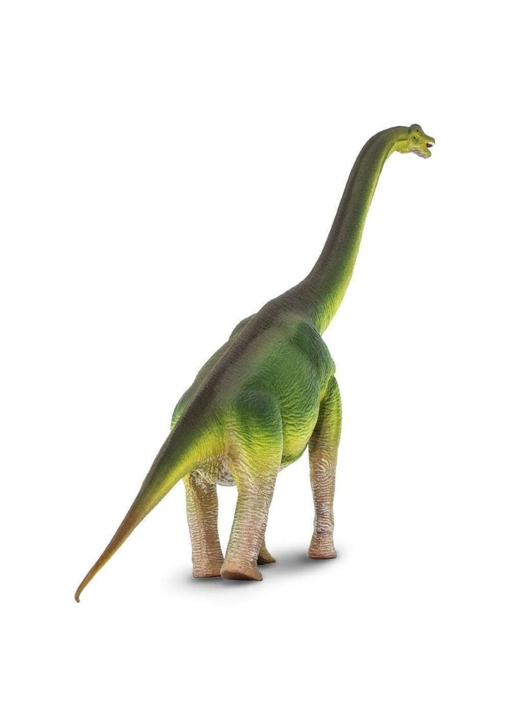 Brachiosaurus Toy