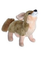 Wild Calls Coyote