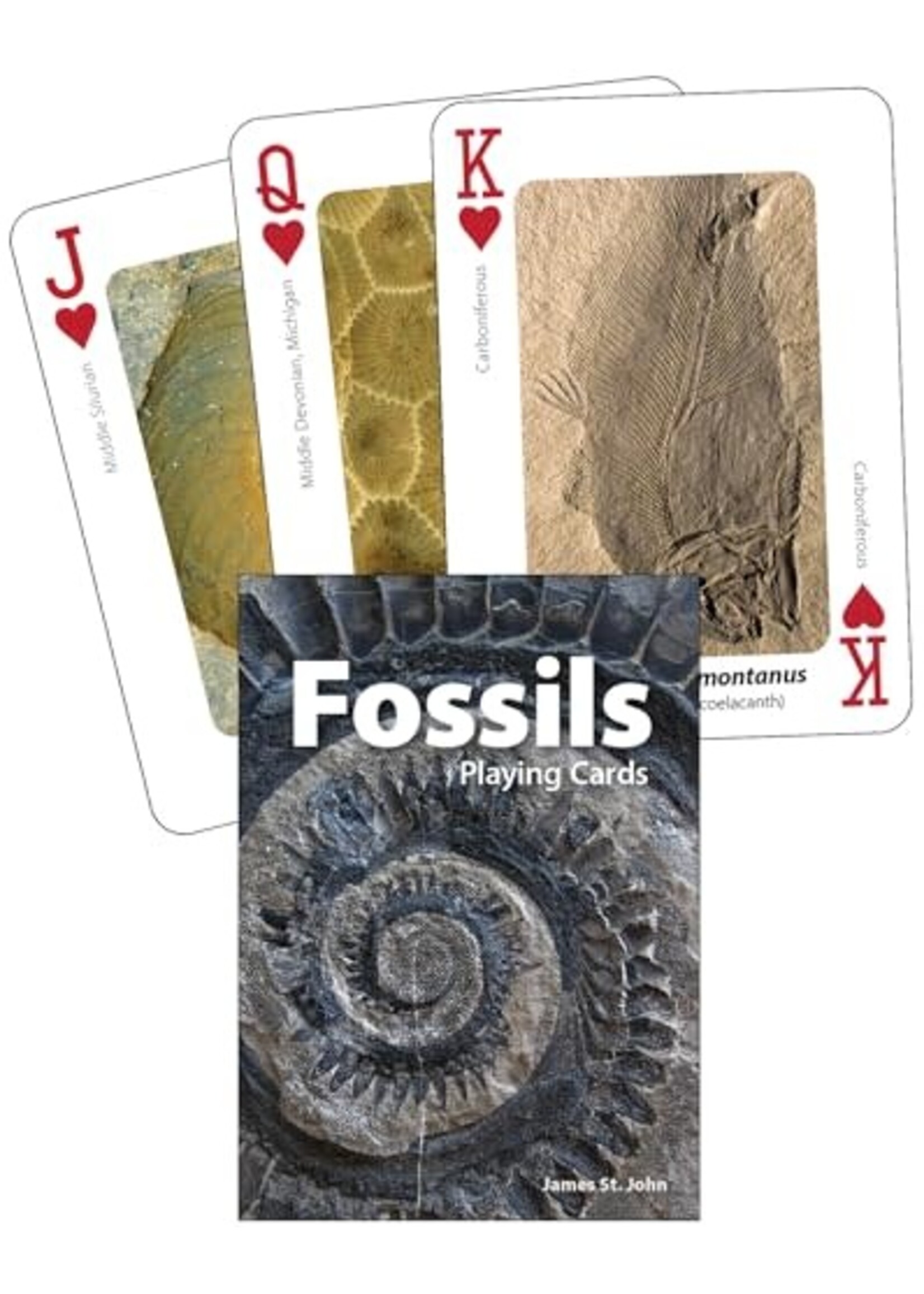 Fossils Playing Cards