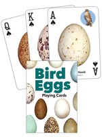 Bird Eggs Playing Cards
