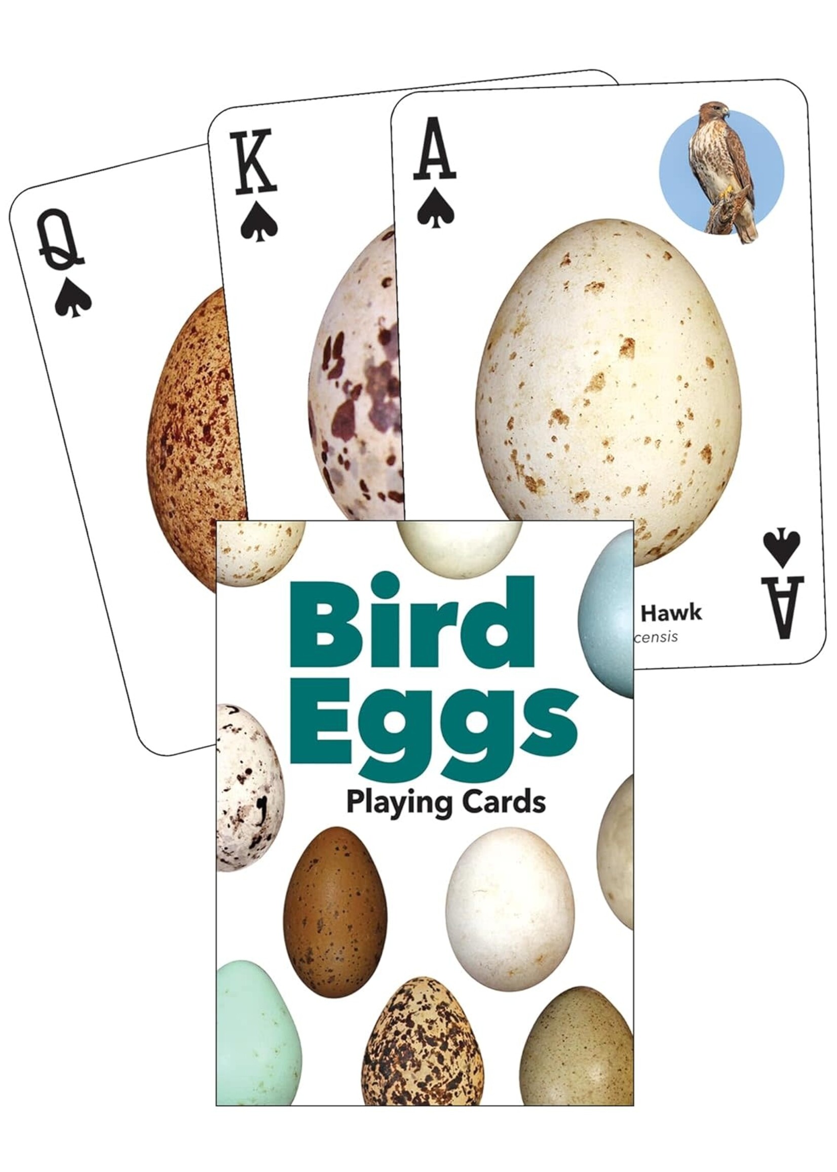 Bird Eggs Playing Cards