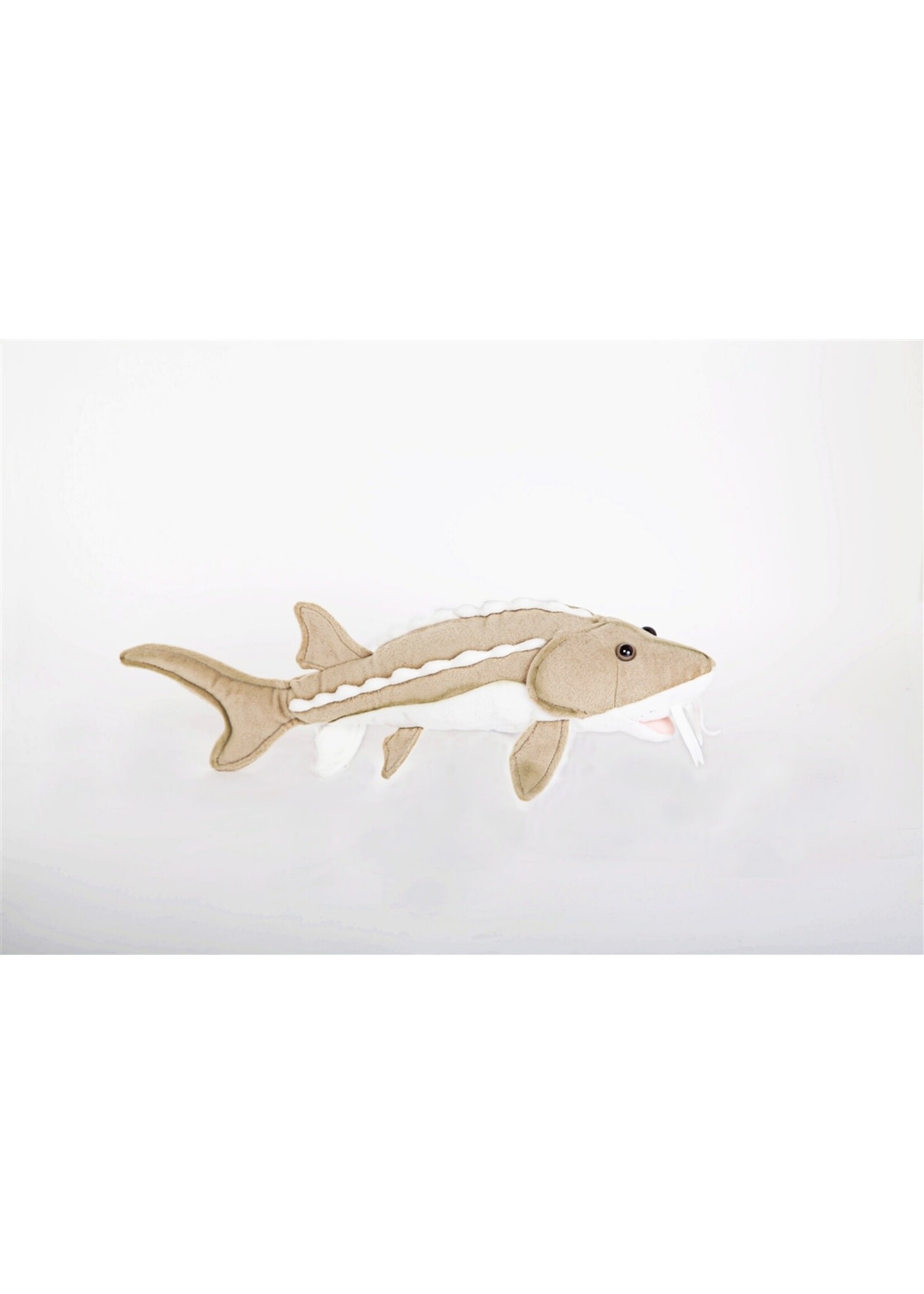 Sturgeon: 10"