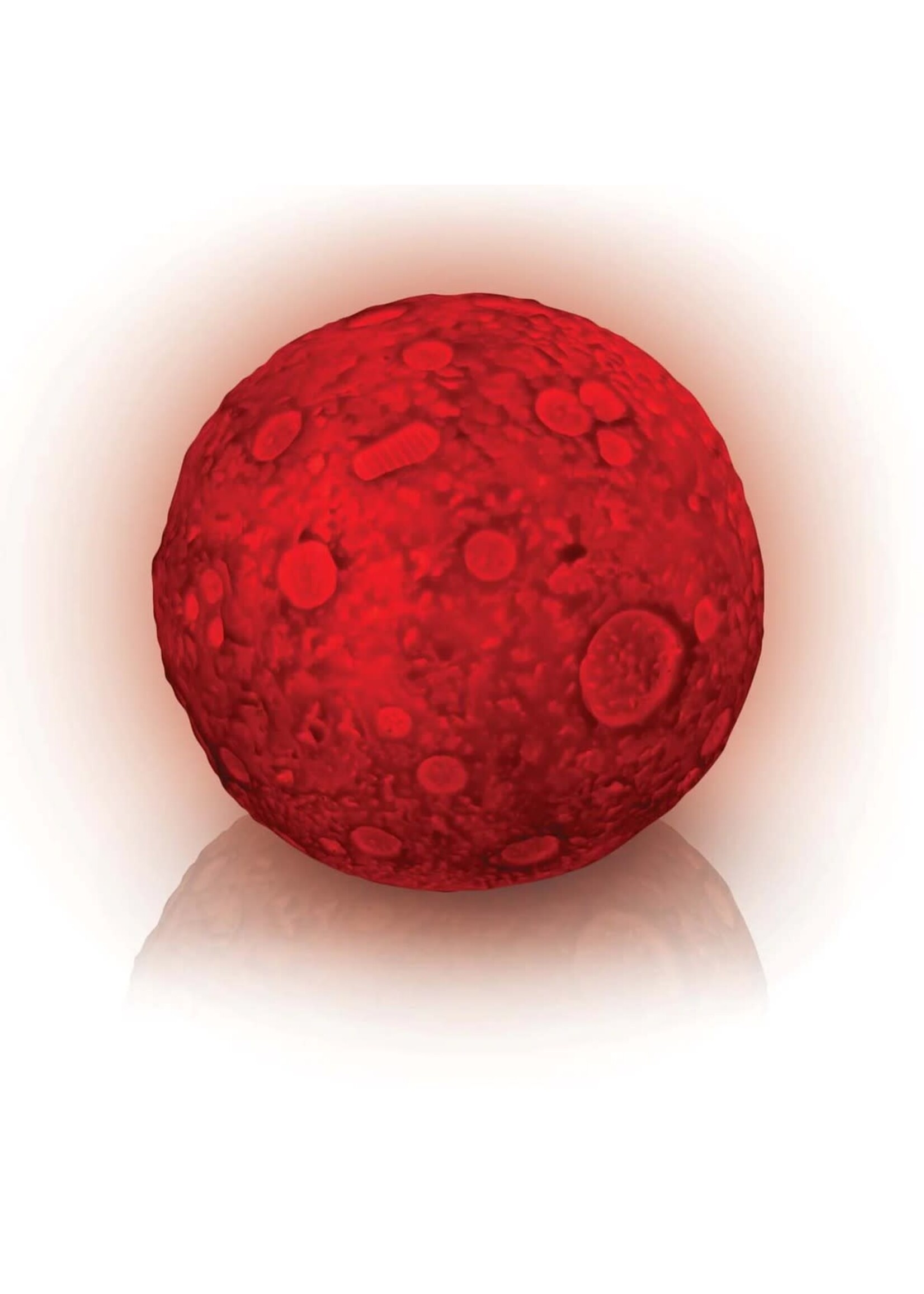 Astroverse: Lunar Light Show: 16 Colors