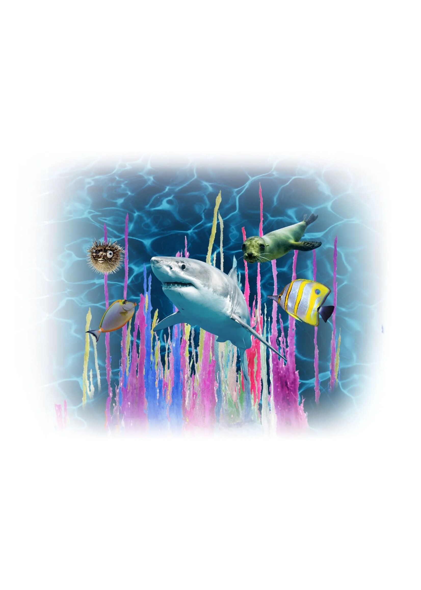 Smithsonian Magic Rocks