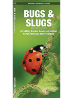 Bugs & Slugs A Folding Pocket Guide to Familiar North American Invertebrates