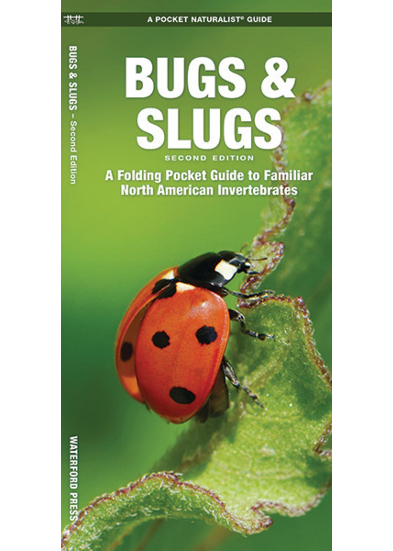 Bugs & Slugs A Folding Pocket Guide to Familiar North American Invertebrates