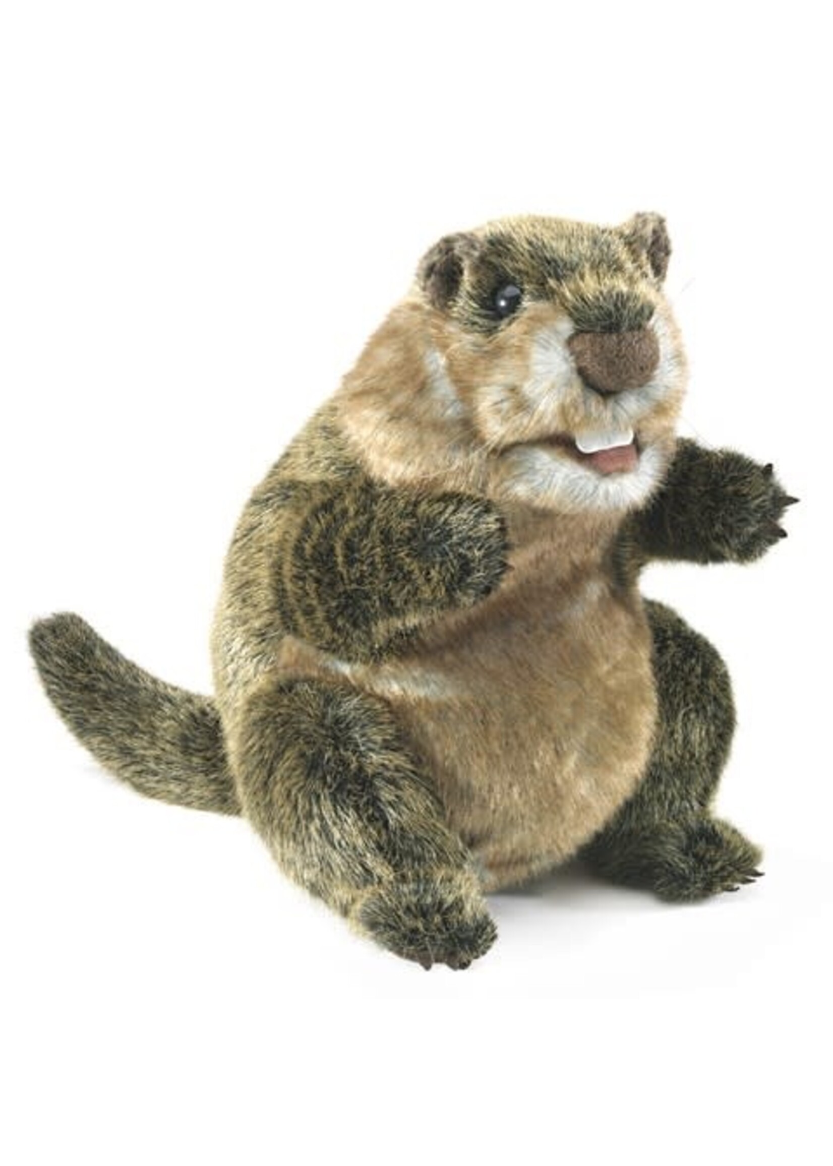 Groundhog Puppet