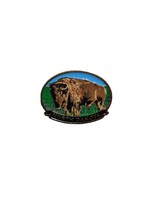 North Dakota Buffalo Full Color Magnet
