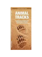 Animal Tracks: A Folding Pocket Guide
