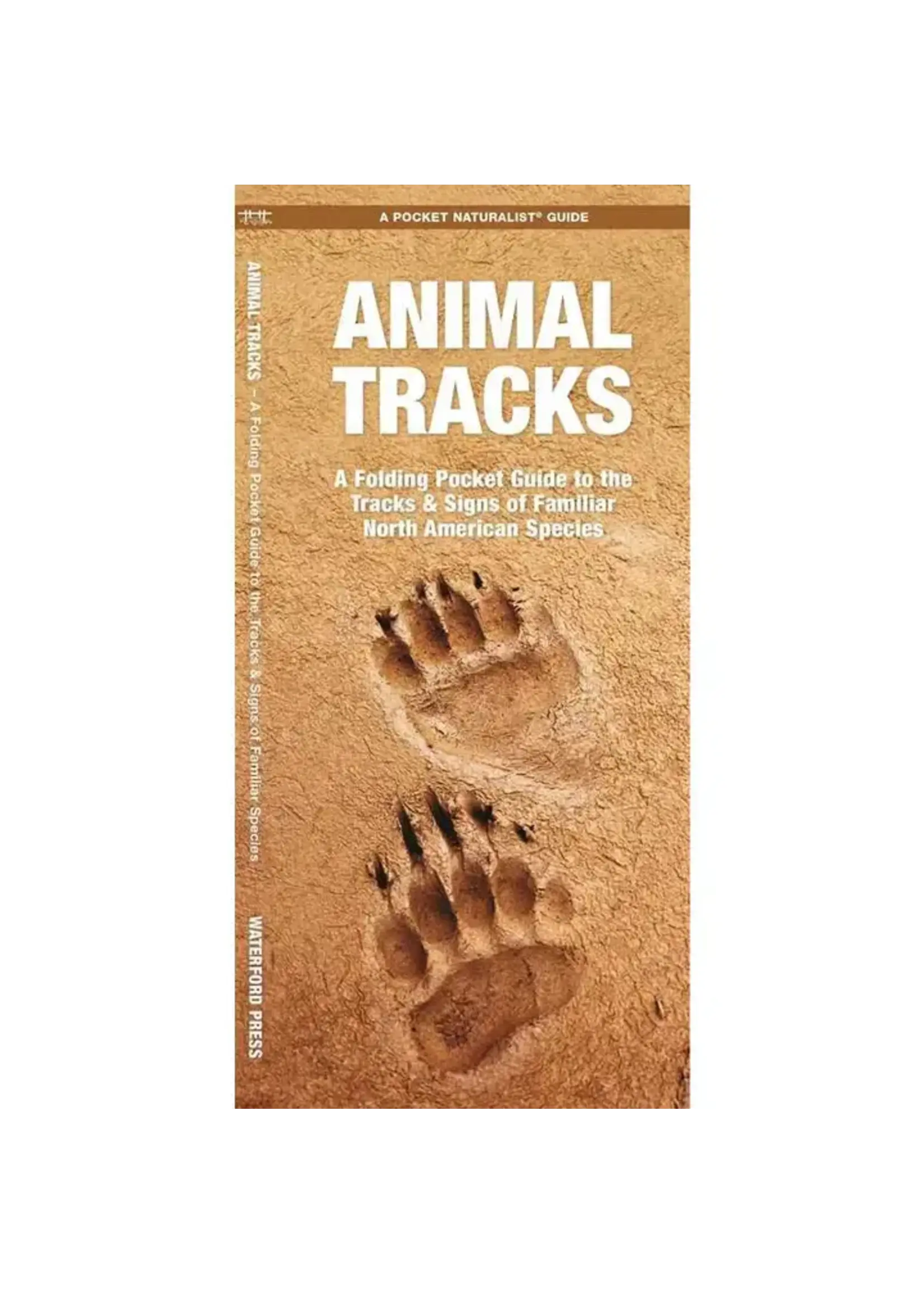 Animal Tracks: A Folding Pocket Guide
