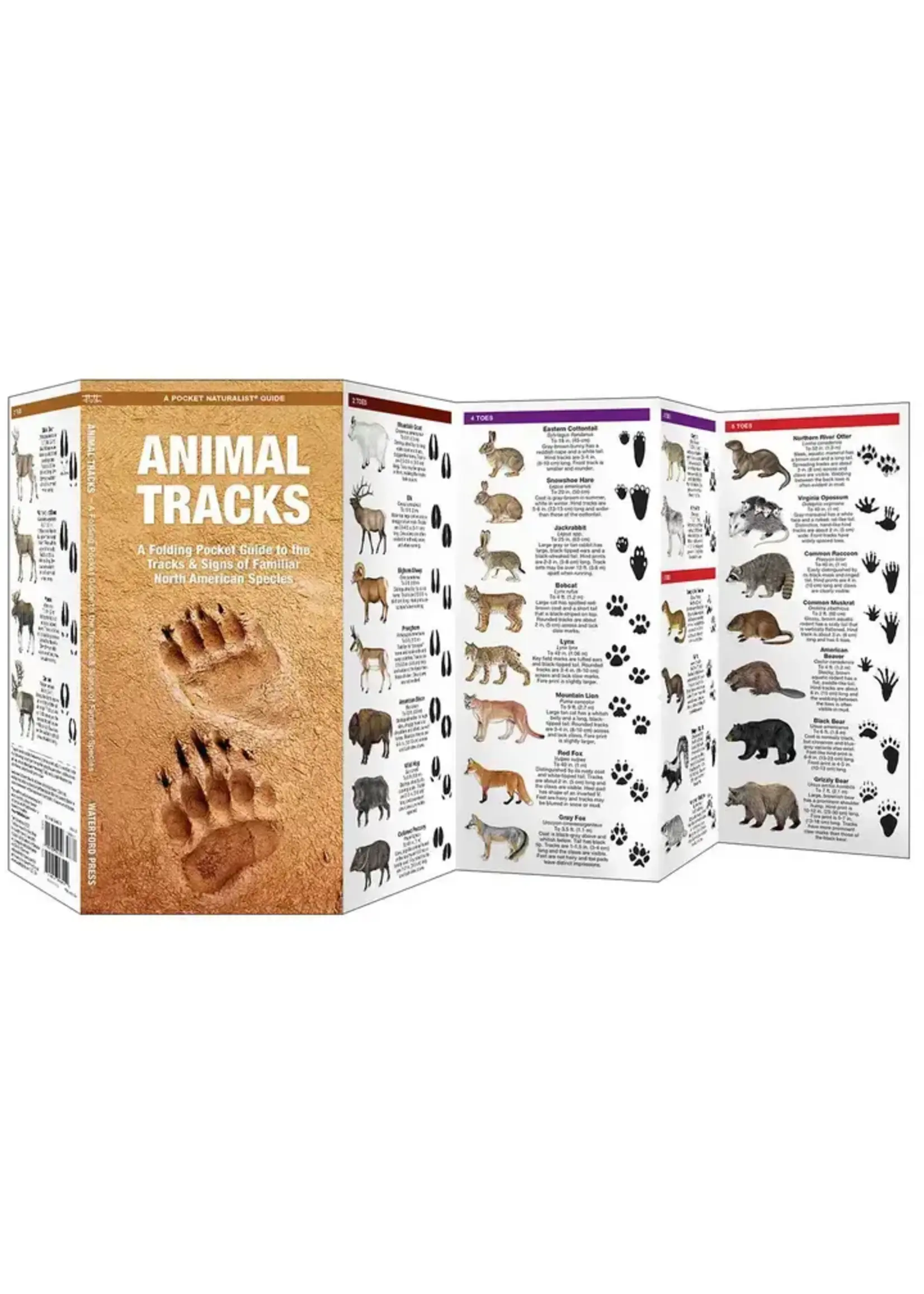 Animal Tracks: A Folding Pocket Guide