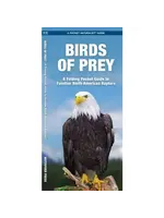 Birds of Prey Pocket Guide to Familiar North American Raptors