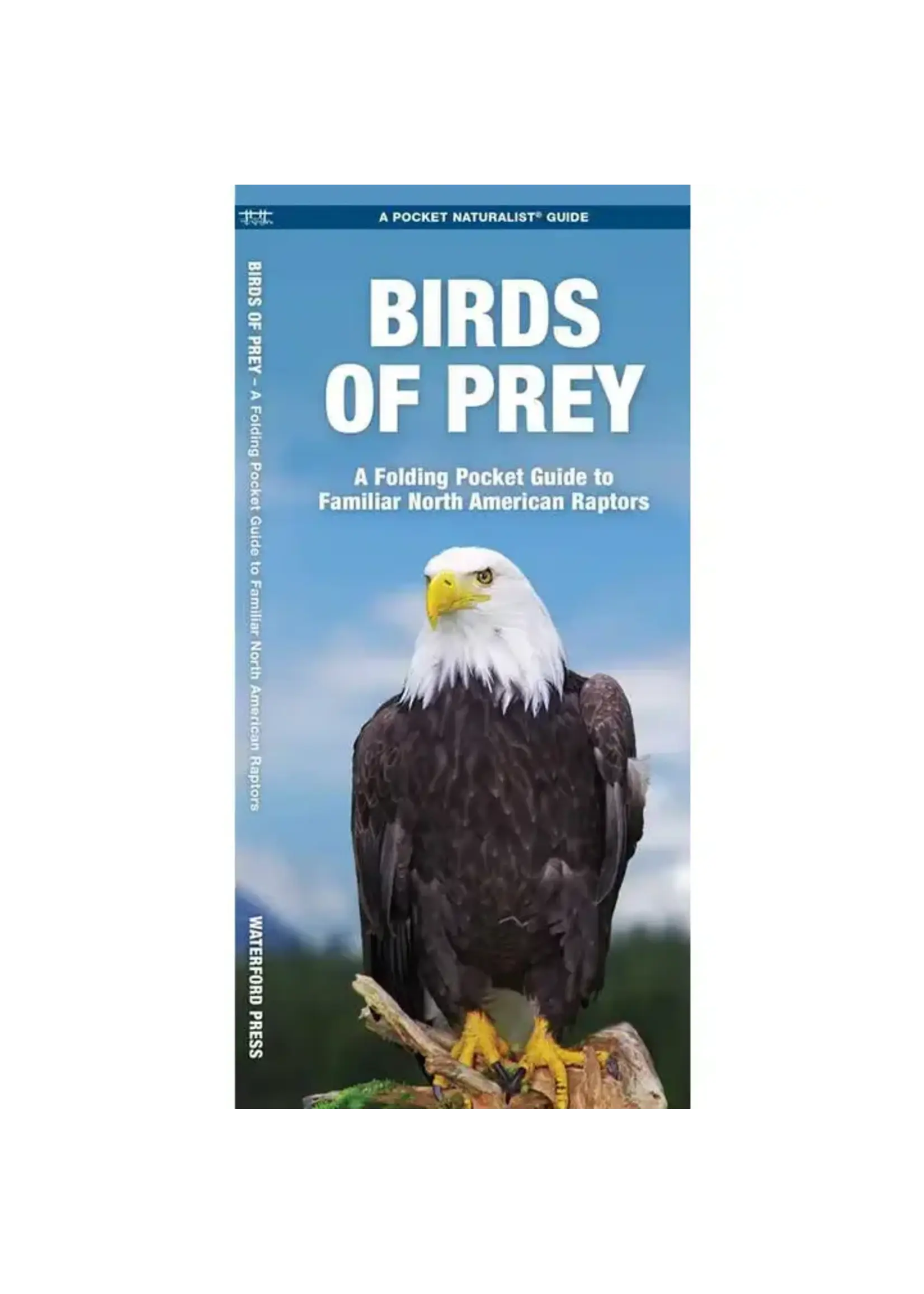 Birds of Prey Pocket Guide to Familiar North American Raptors
