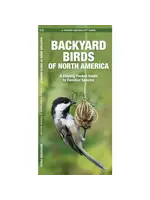 Backyard Birds of North America: A Folding Pocket Guide to Familiar Species
