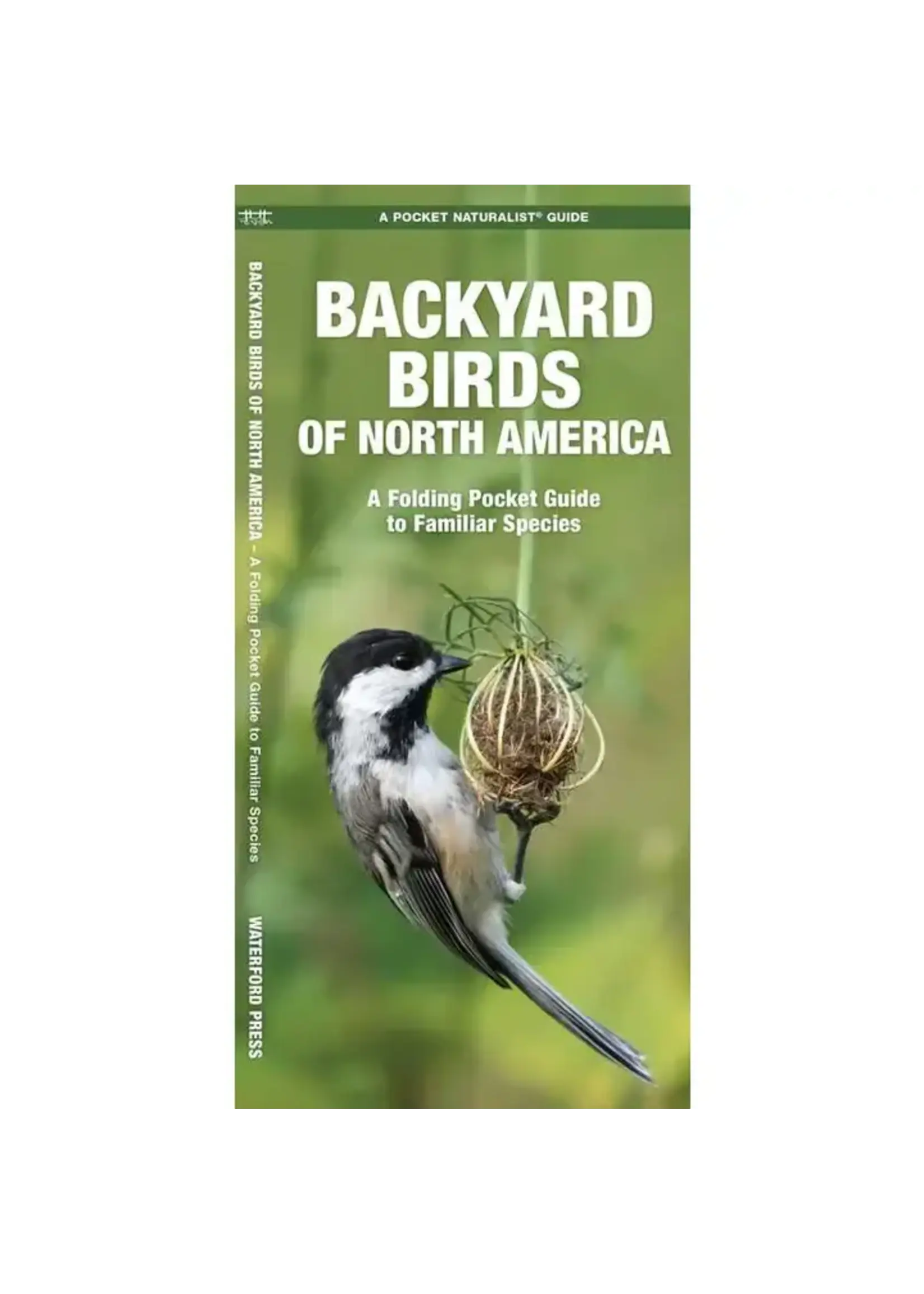 Backyard Birds of North America: A Folding Pocket Guide to Familiar Species