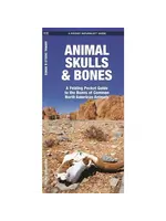 Animal Skulls & Bones Guide