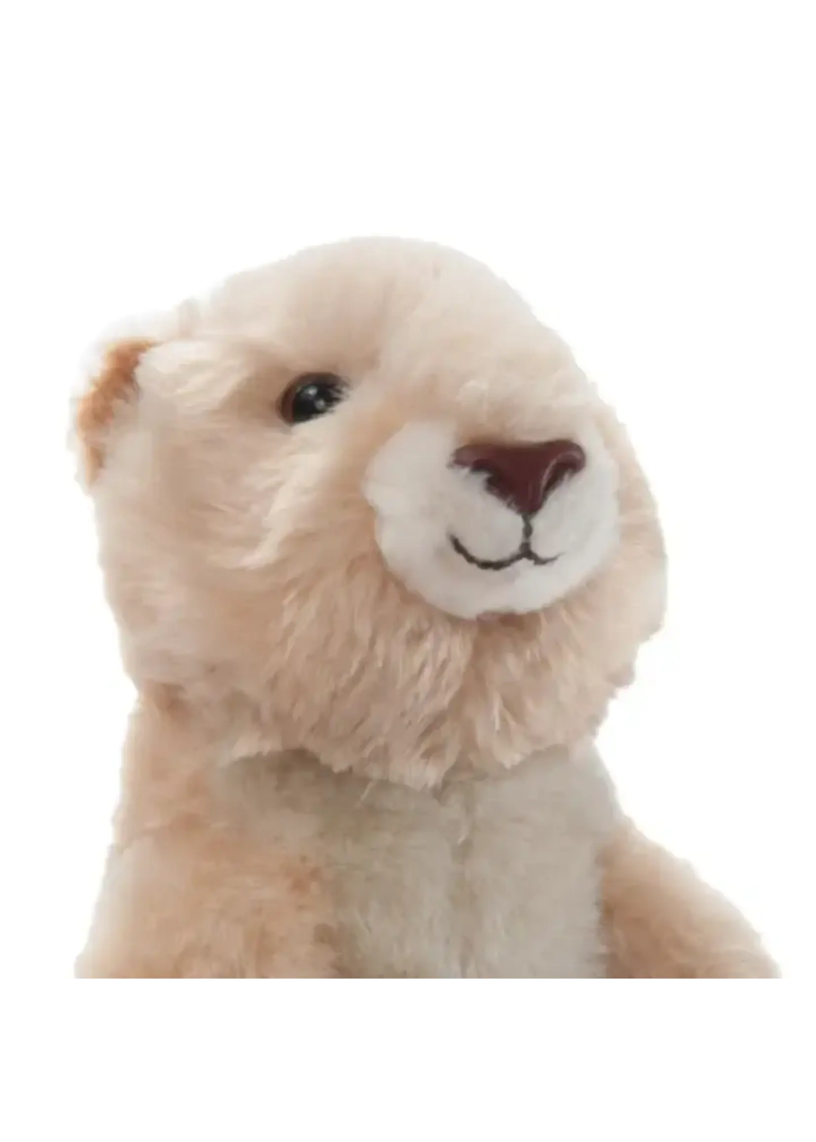 Wild Onez Wild Onez: Prairie Dog: Small: 9"