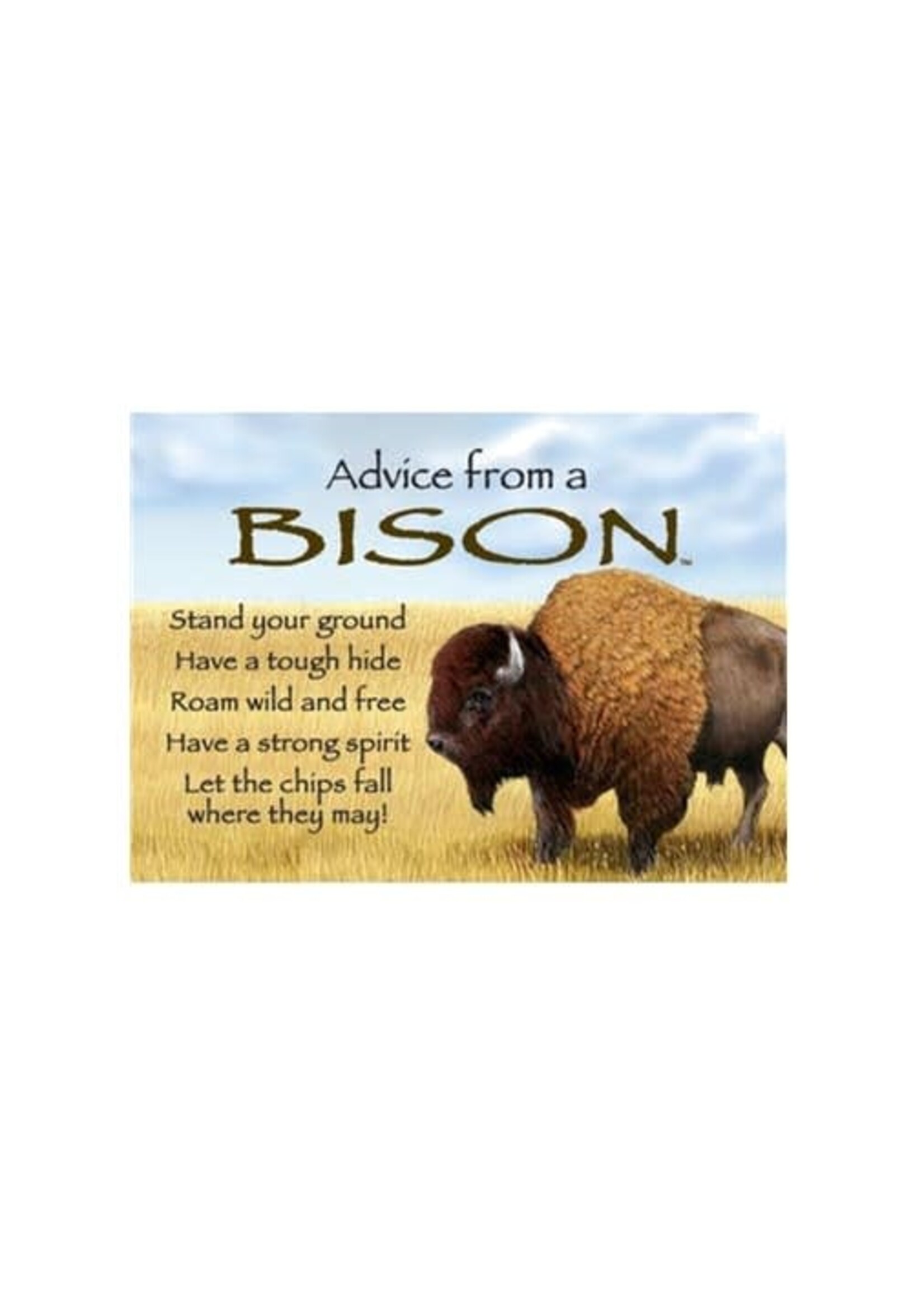 Advice from a Bison Jumbo Magnet