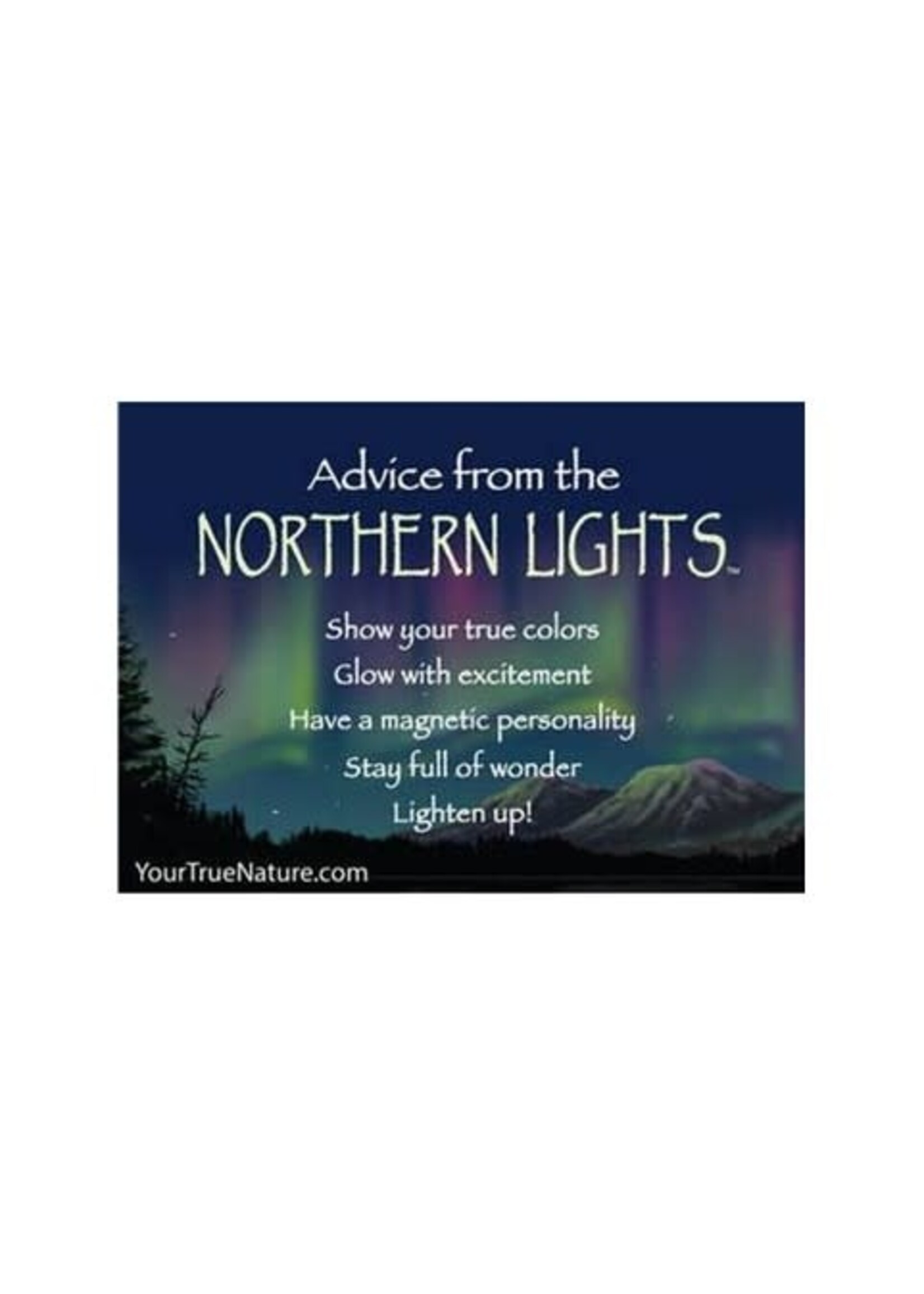 Advice From the Northern Lights Jumbo Magnet