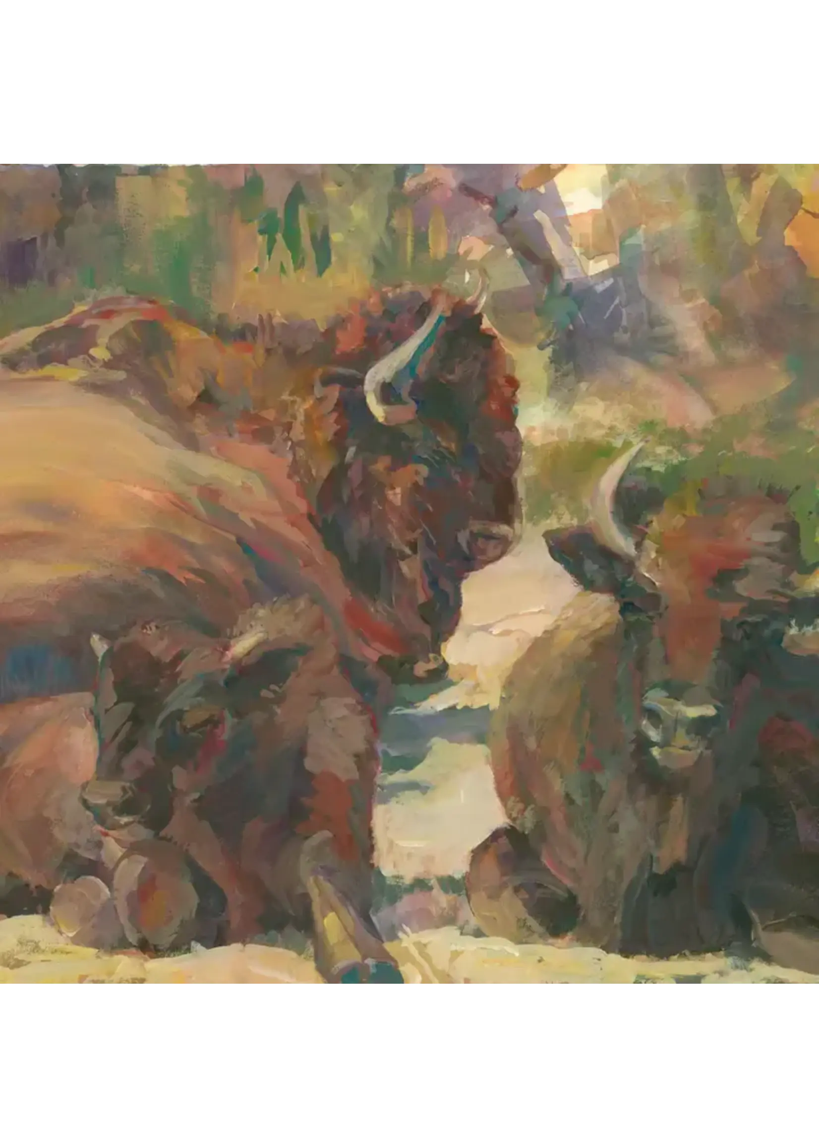 Bison Multipack - Notecard Set