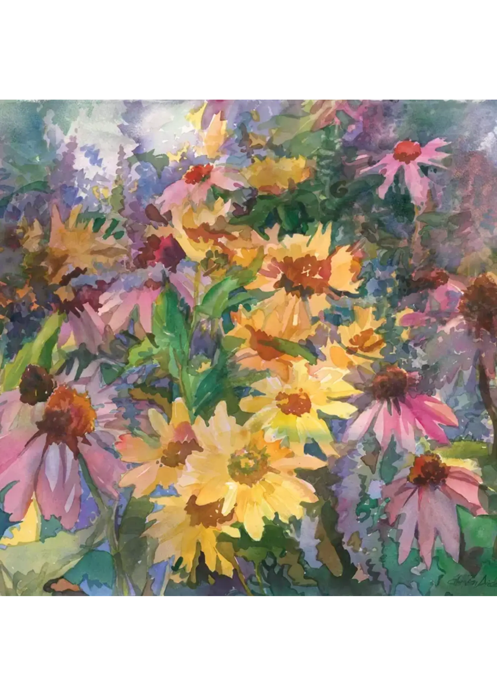 Seed Pack Multipack Notecards