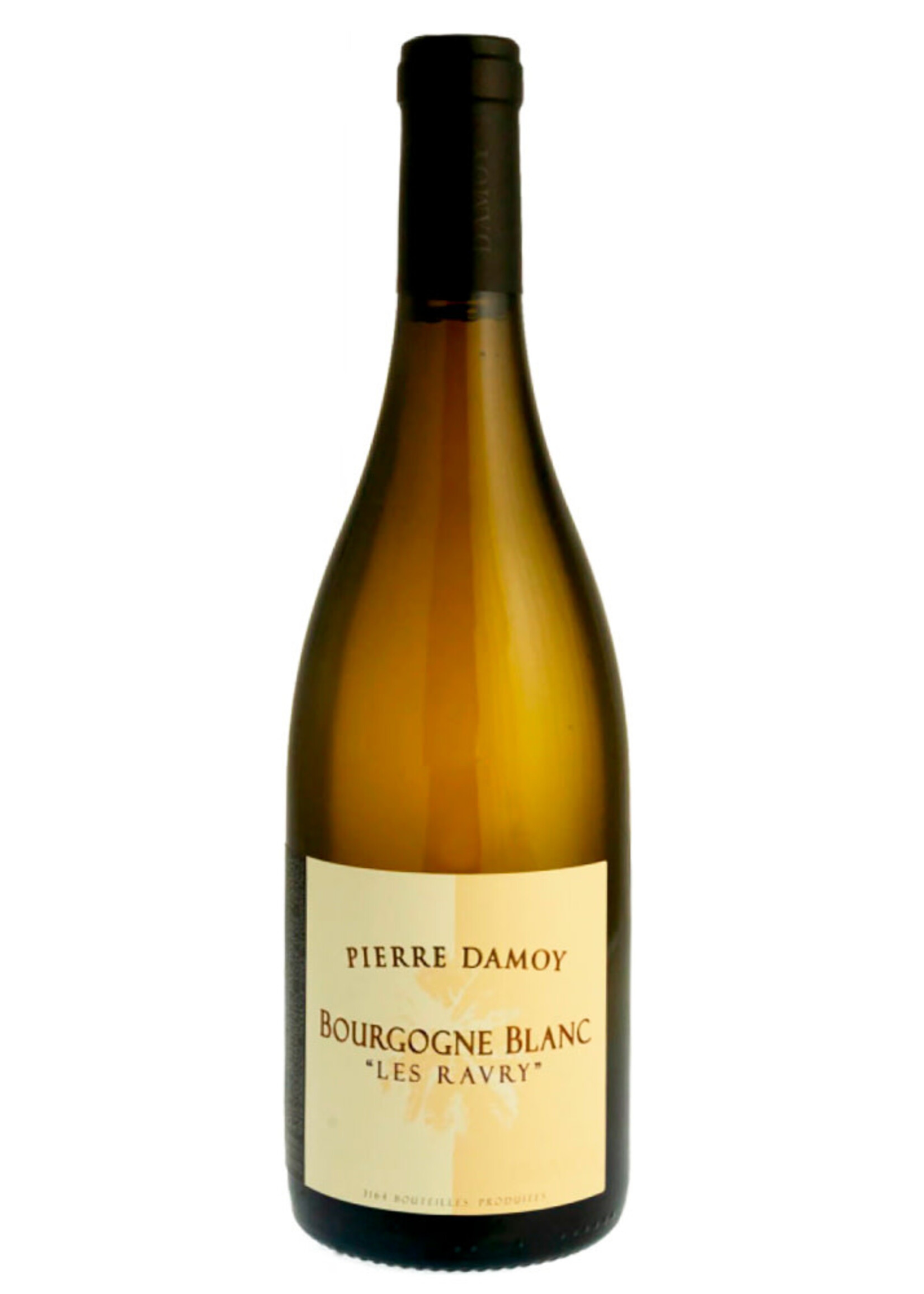 Domaine Pierre Damoy Bourgogne Blanc "Les Ravary" 2018 750ML