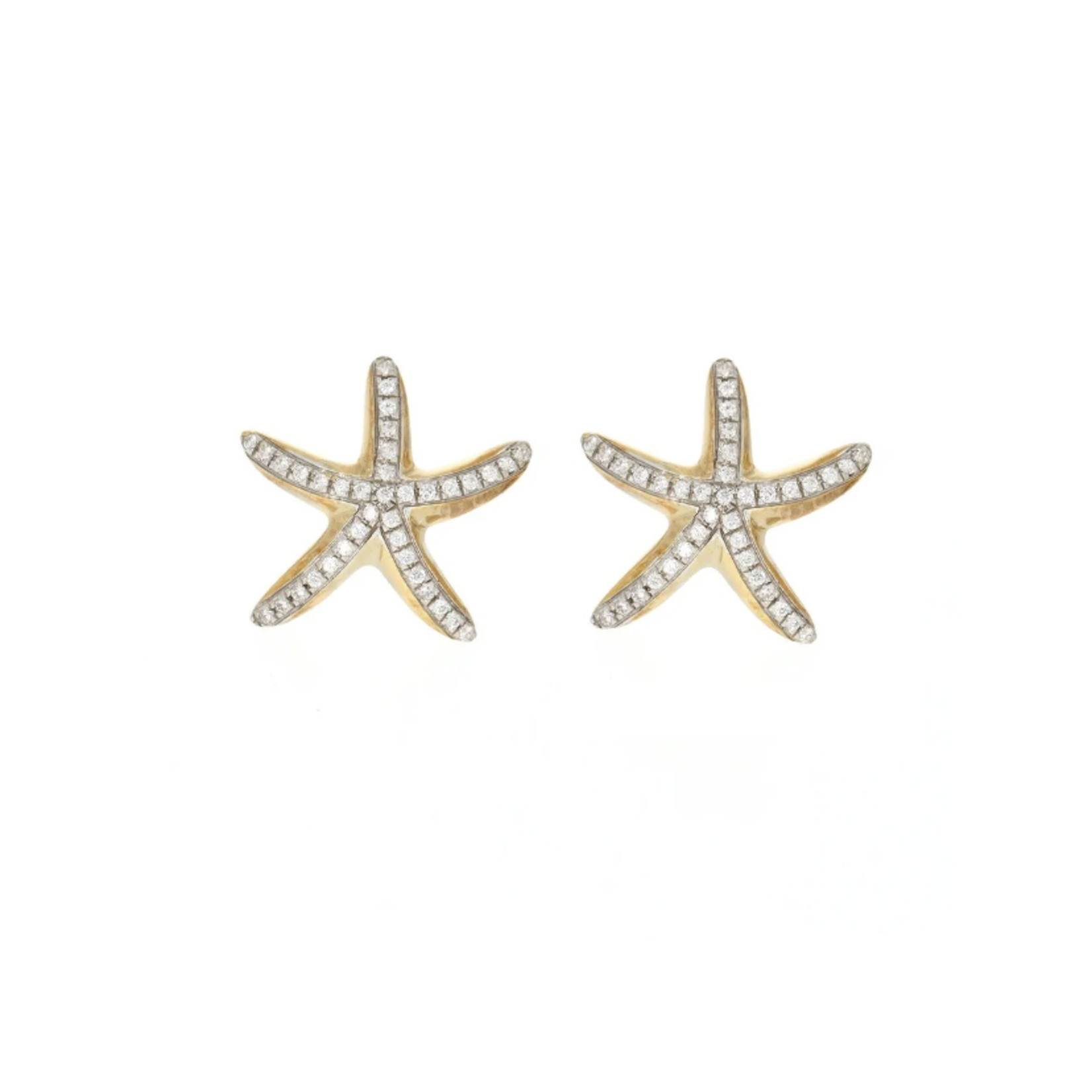 Ella Stein Sea Star Earrings