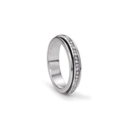 Lunar CZ Spin Ring