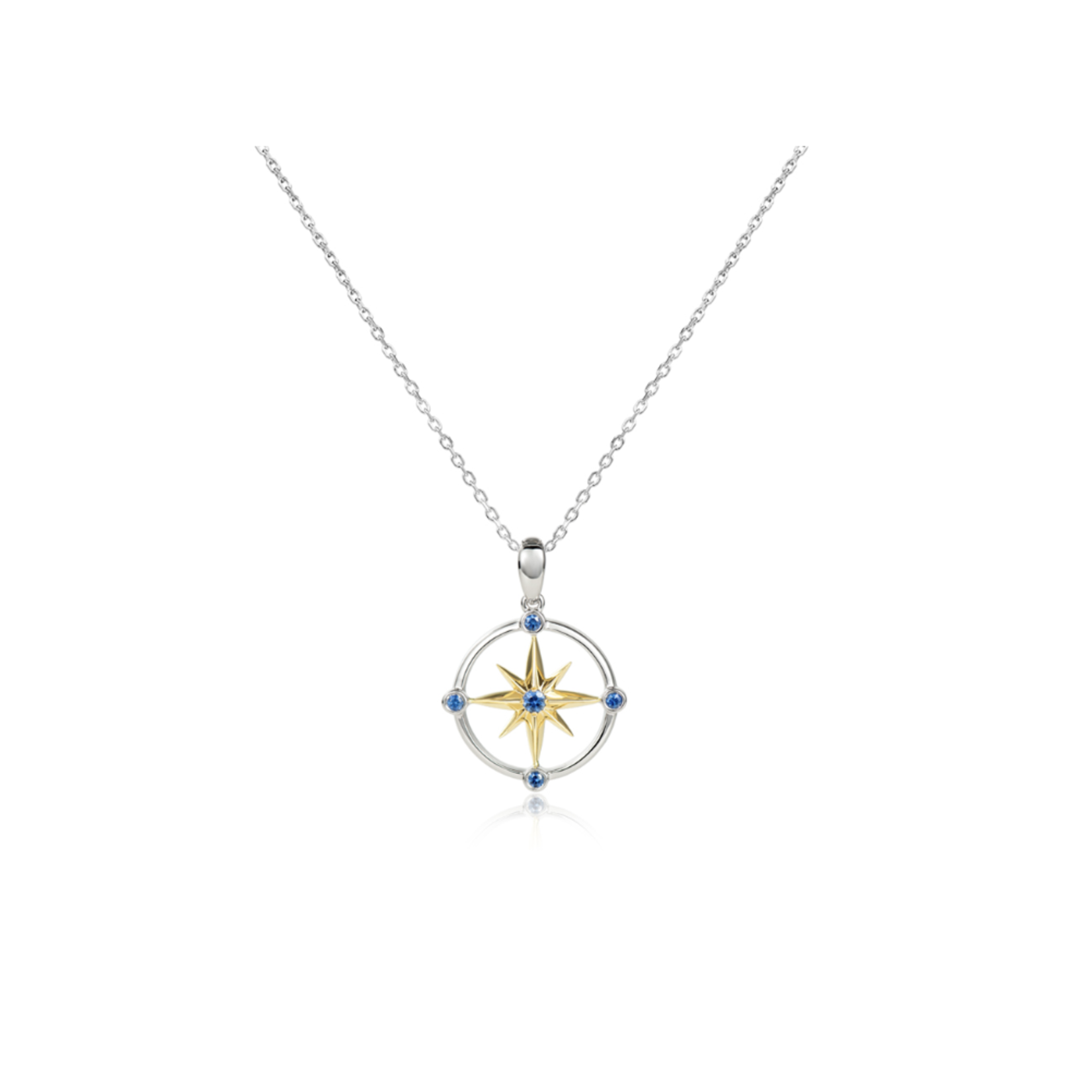 Alamea 14K White Gold w/B.Sapphire Small Compass Pendant