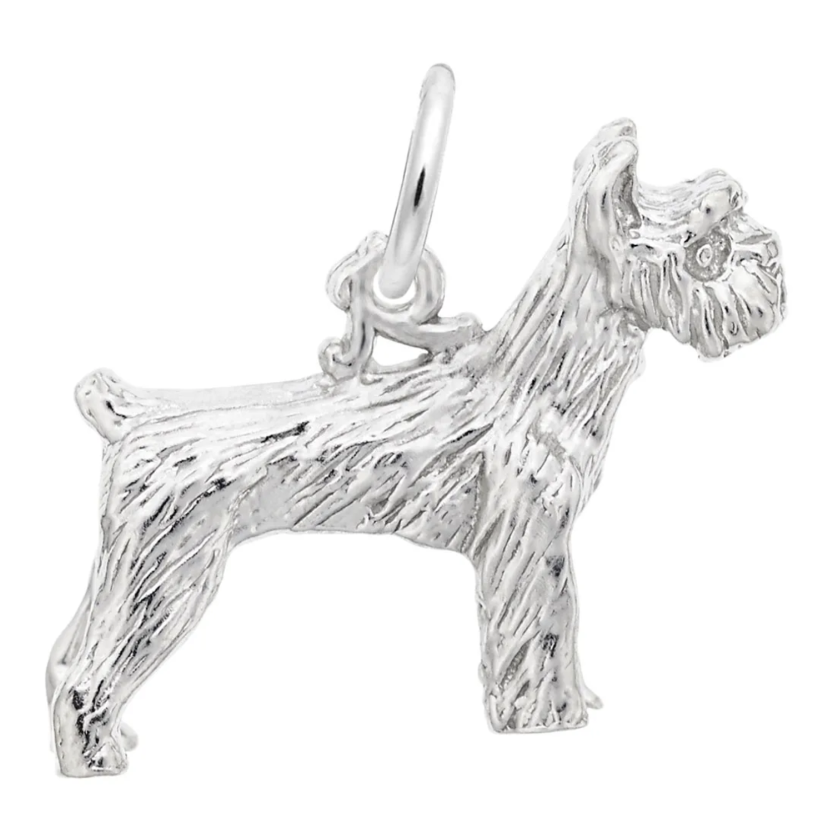 Rembrandt SS Schnauzer Dog Charm