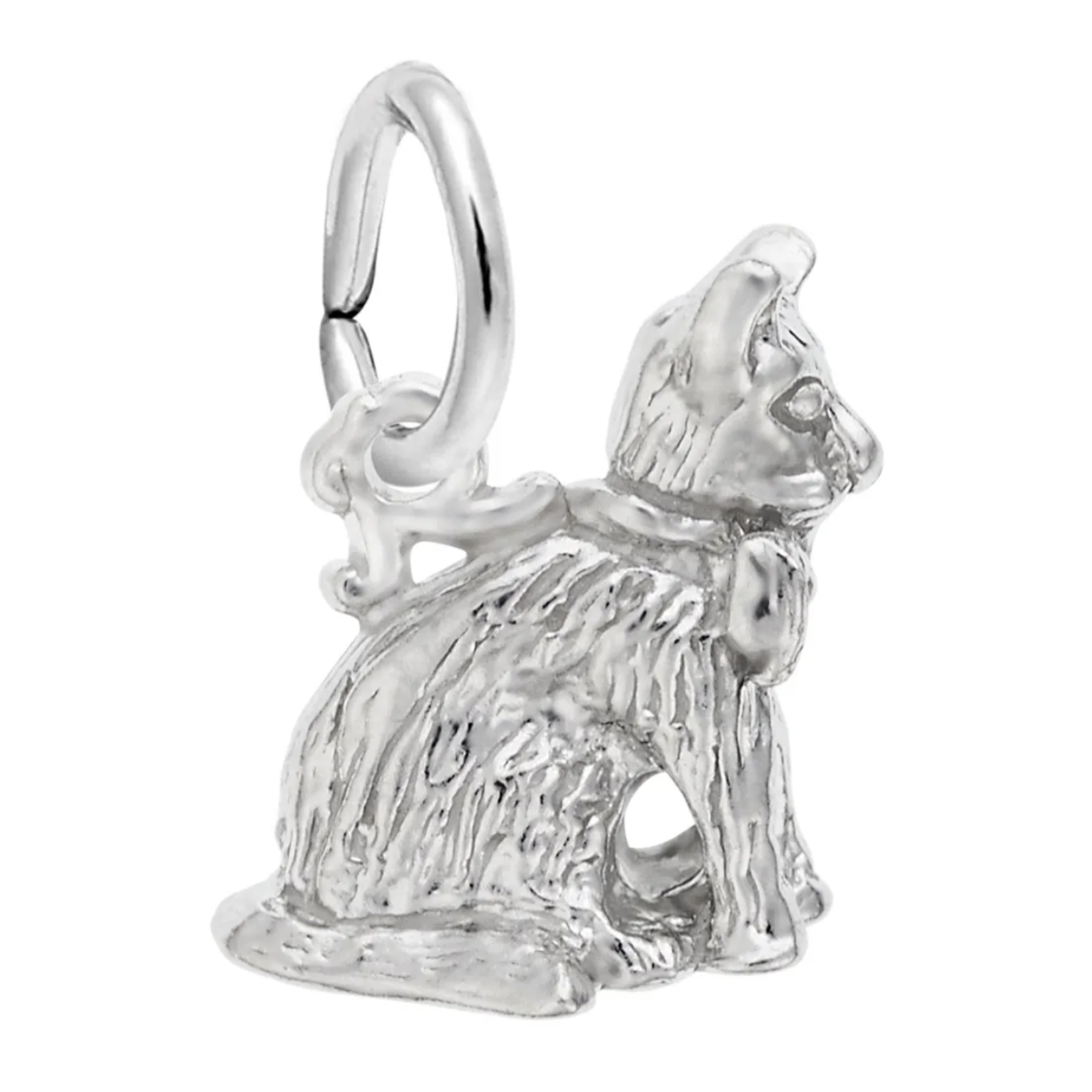 Rembrandt SS Sitting Cat Charm