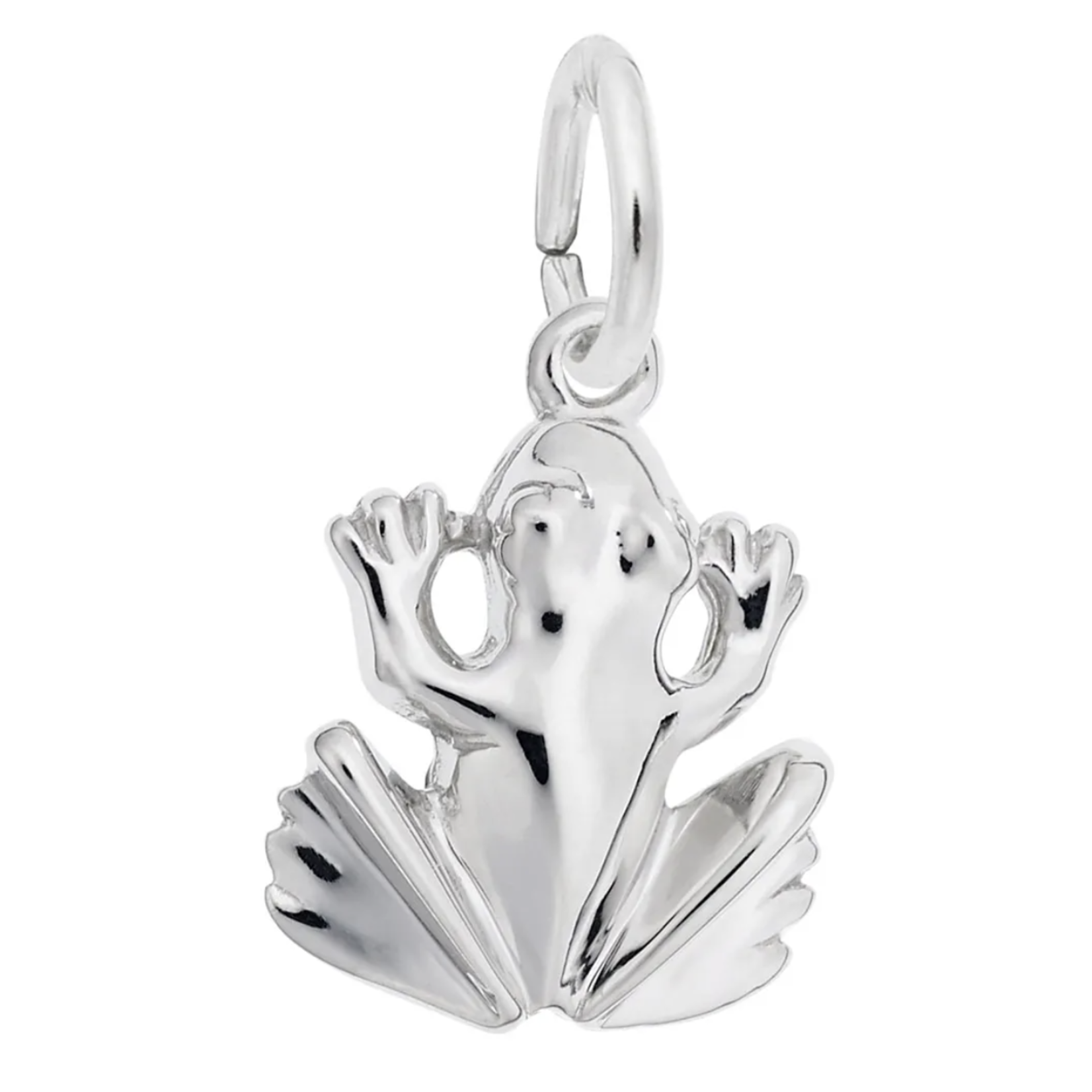 Tree Frog Charm