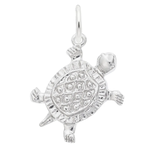 Rembrandt SS Turtle Charm