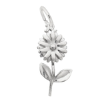 Rembrandt SS Daisy Charm